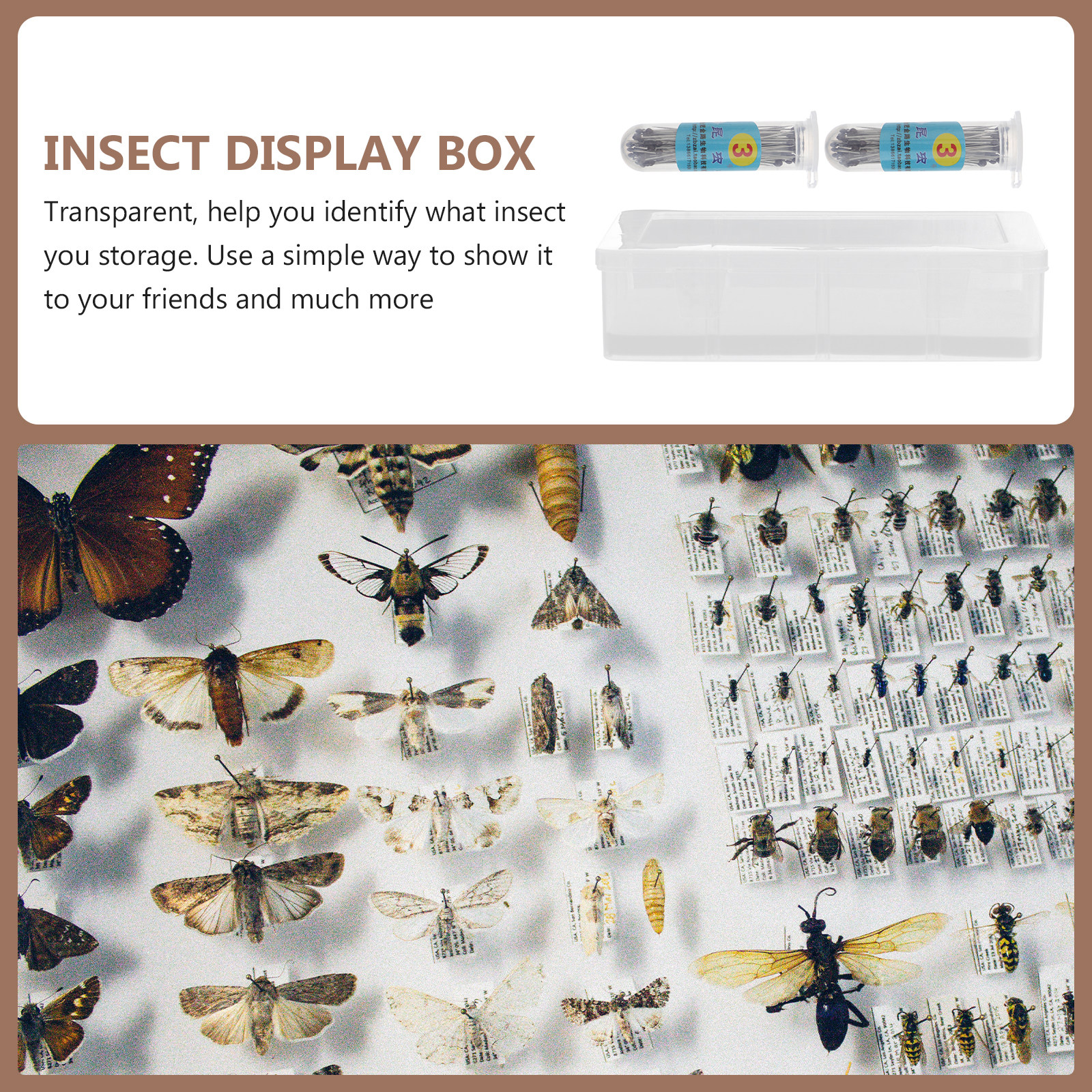 1Set Transparent Specimen Box  - Collectors Coins Jewelry & Watches Of Smithtown incelemesi ve fiyatı